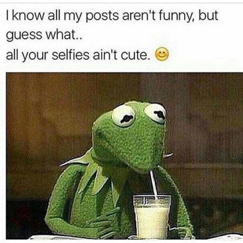 funny kermit pictures